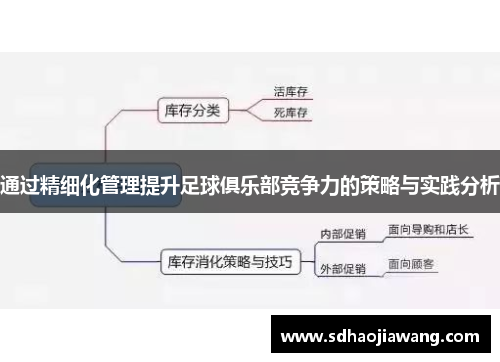 通过精细化管理提升足球俱乐部竞争力的策略与实践分析
