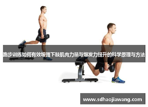 跑步训练如何有效增强下肢肌肉力量与爆发力提升的科学原理与方法