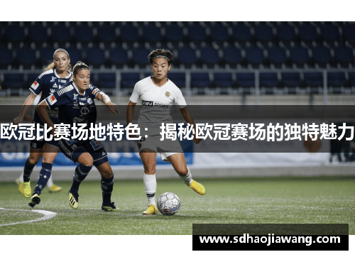 欧冠比赛场地特色：揭秘欧冠赛场的独特魅力
