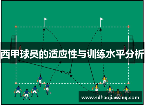 西甲球员的适应性与训练水平分析