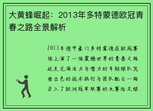 大黄蜂崛起：2013年多特蒙德欧冠青春之路全景解析