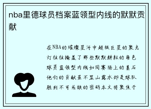nba里德球员档案蓝领型内线的默默贡献