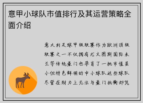 意甲小球队市值排行及其运营策略全面介绍