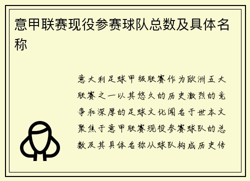 意甲联赛现役参赛球队总数及具体名称